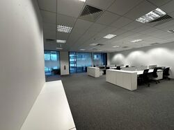 PLUS (D1), Office #543093881